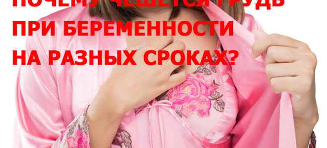 Почему чешется грудь у женщин при беременности на разных сроках: причины, сроки