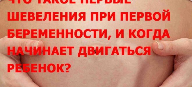 Что такое первые шевеления при первой беременности, и когда начинает двигаться ребенок?